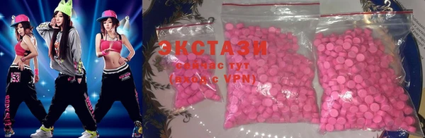 крисы Каменка