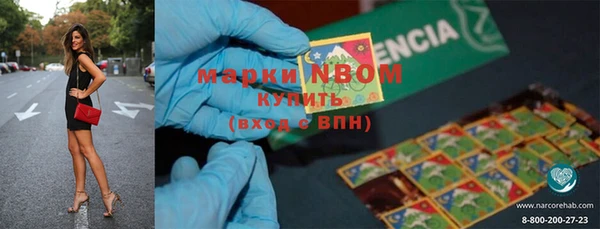 PSILOCYBIN Каменногорск
