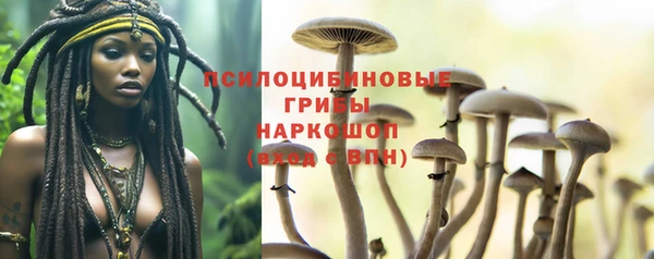 PSILOCYBIN Каменногорск
