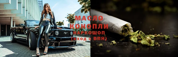 крисы Каменка