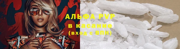 PSILOCYBIN Каменногорск