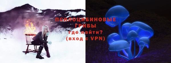 крисы Каменка