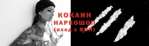 крисы Каменка