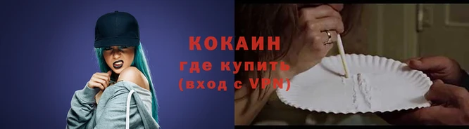 крисы Каменка