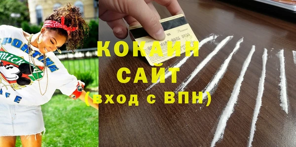 PSILOCYBIN Каменногорск