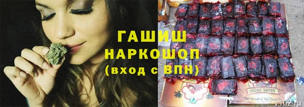крисы Каменка