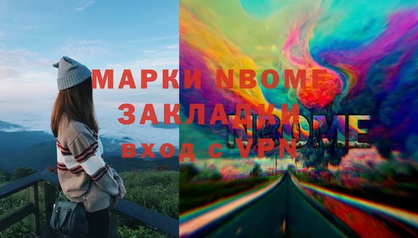 крисы Каменка