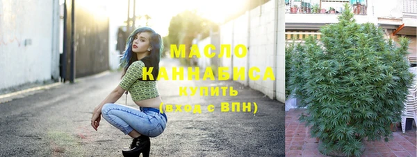 крисы Каменка