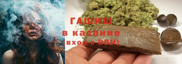 крисы Каменка